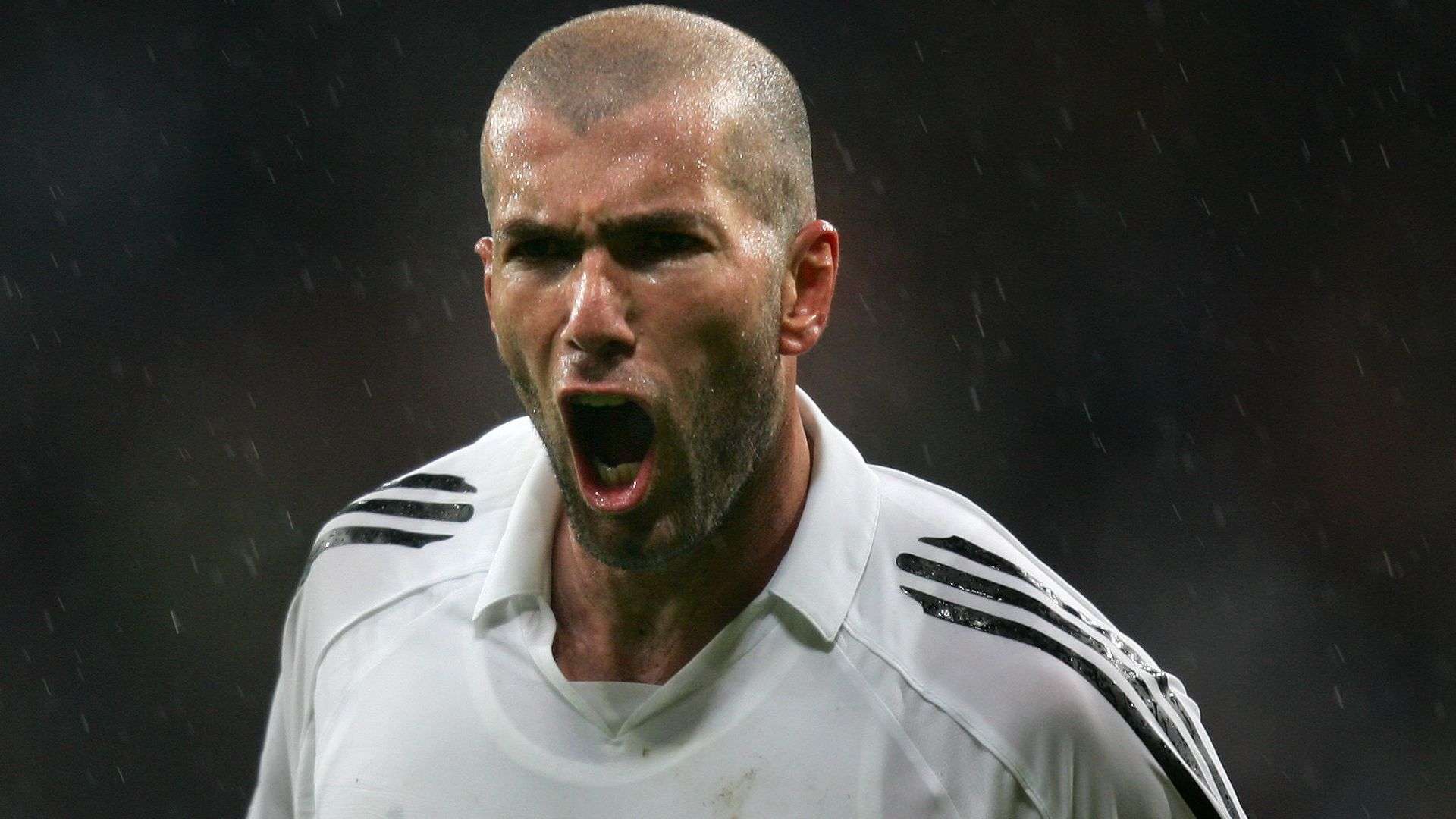 未能展现出 未能展现出